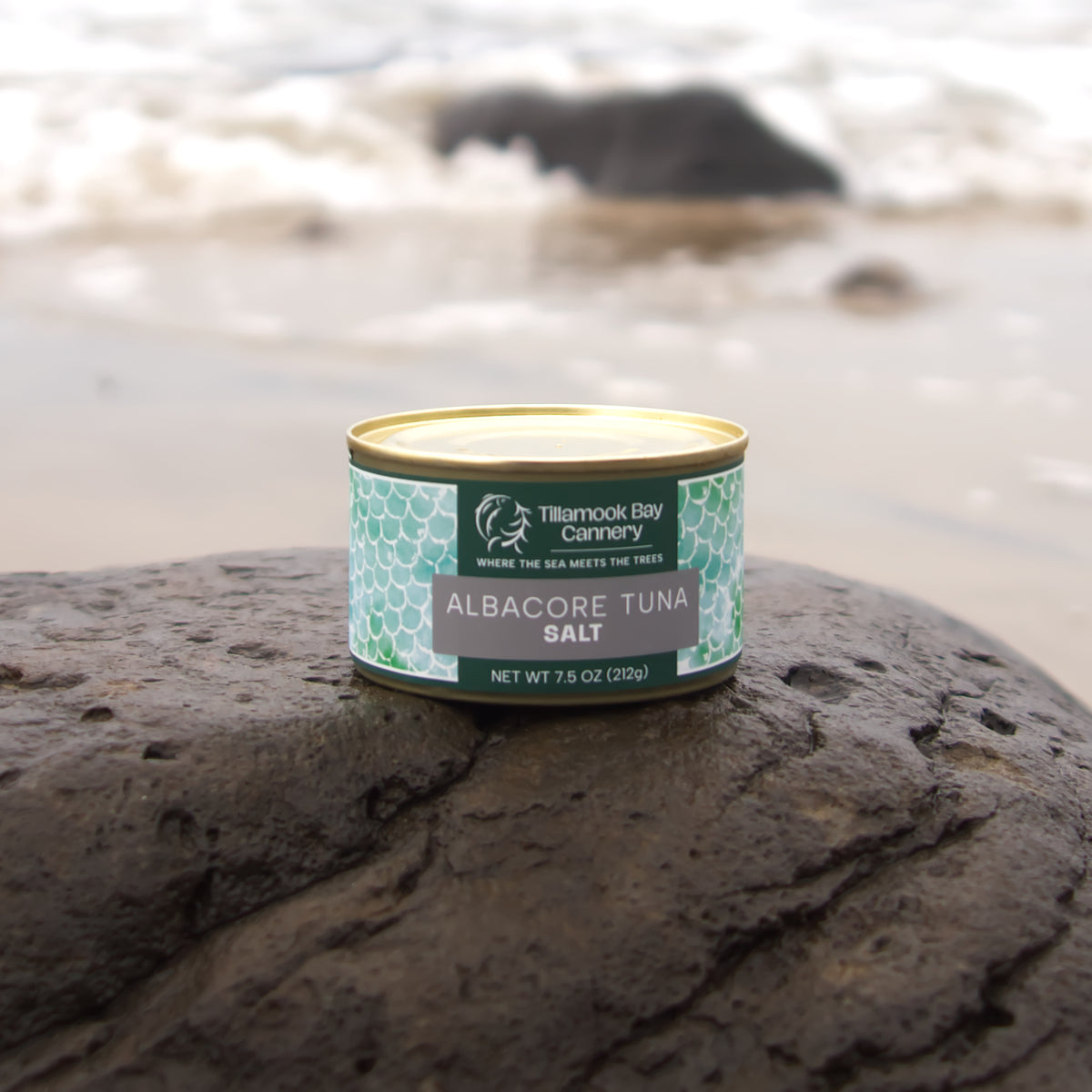 ALBACORE TUNA -SEA SALT 24 CAN CASE