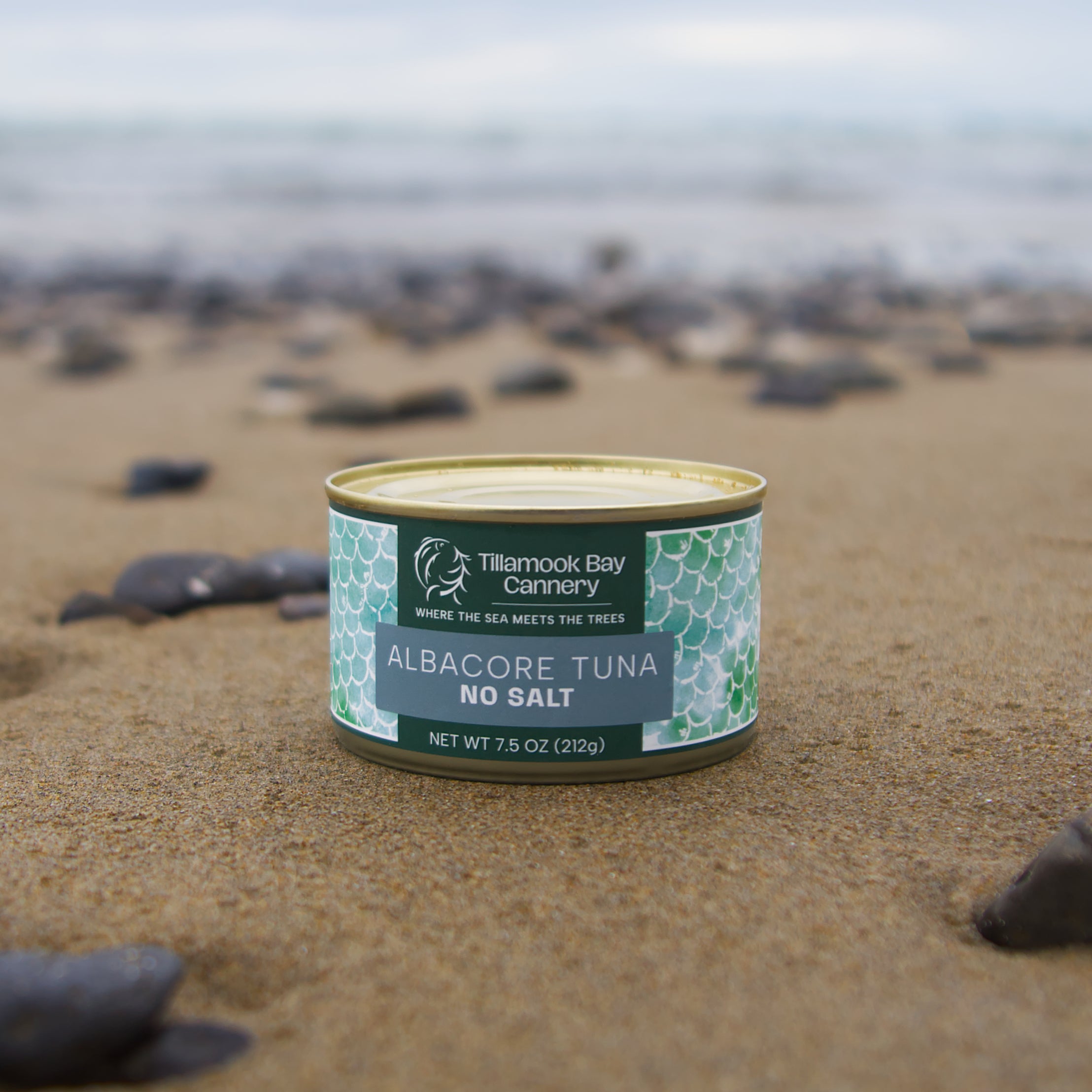 ALBACORE TUNA - NO SALT